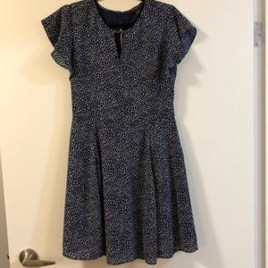 Banana Republic Polka Dot A-line dress
